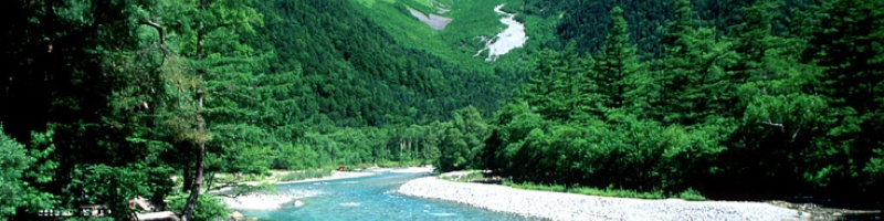 �����A���[�����T�C�g